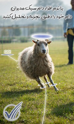 نرم افزار قیمت تمام شده دام سبک